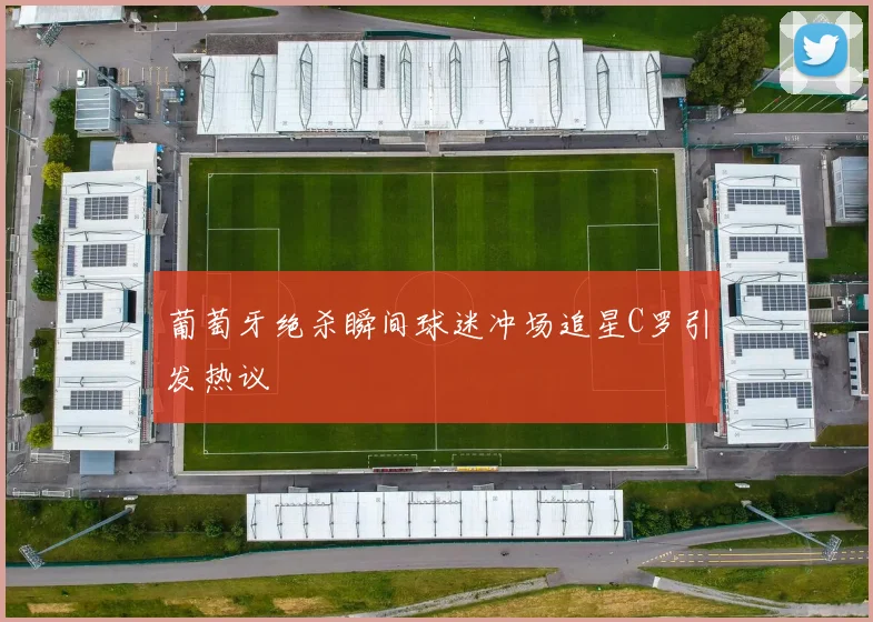 葡萄牙绝杀瞬间球迷冲场追星C罗引发热议